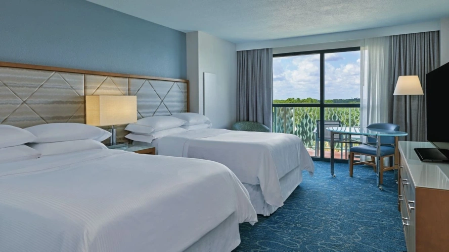 Deluxe Twin room with balcony and with view