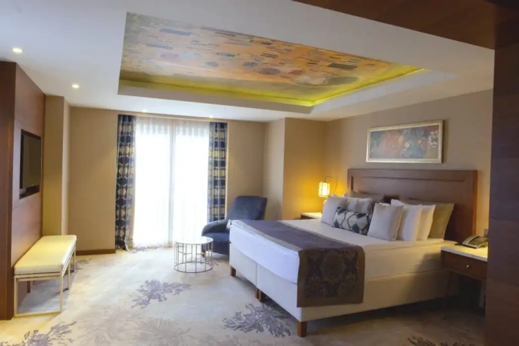 Premier Double Suite