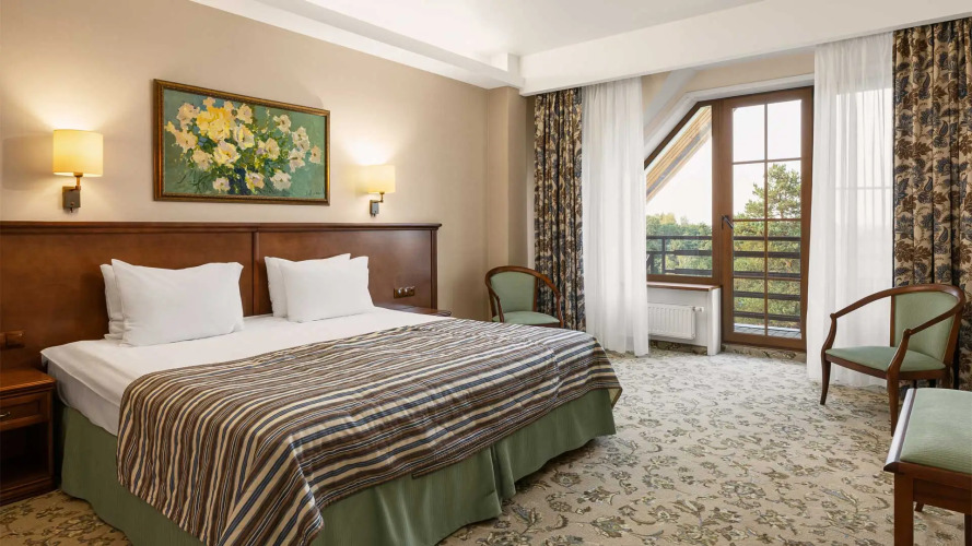 Фотография номера гостиницы Ареал конгресс-отель