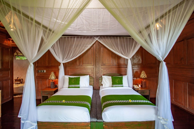Twin Wooden Suite Paddy View