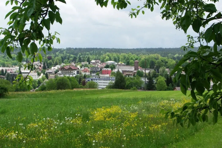 Hotel Schwarzwald Sonnenhof