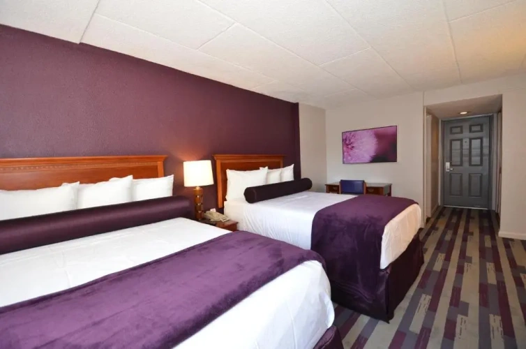 Deluxe Quadruple Suite