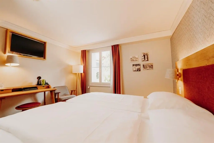 Deluxe Twin room with garden view