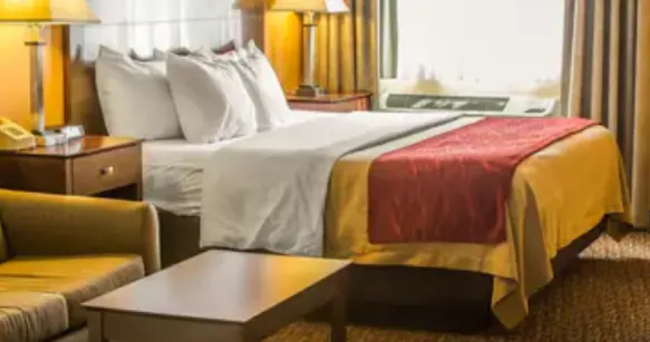 1 Room Double Suite