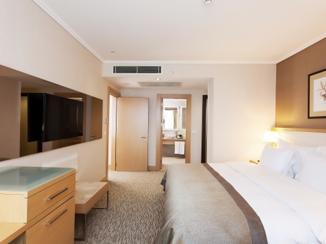 1 Bedroom Kitchen Double Apartment