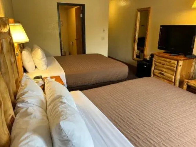 Traditional Twin room