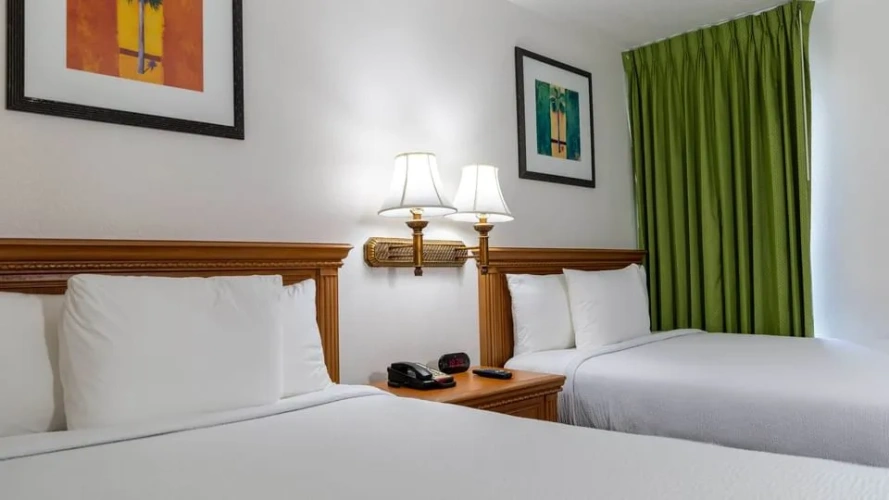 Mini Suite