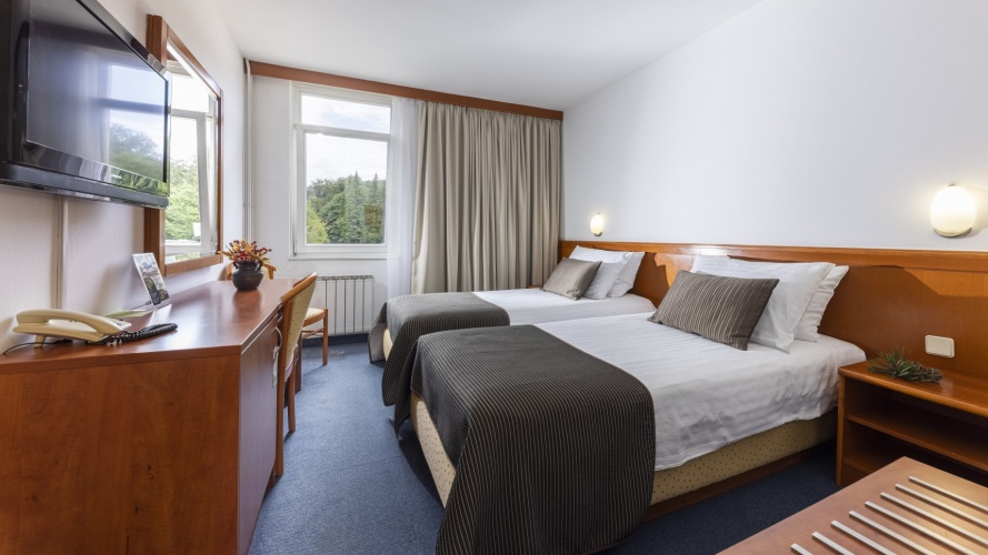 Standard Park Side Double room
