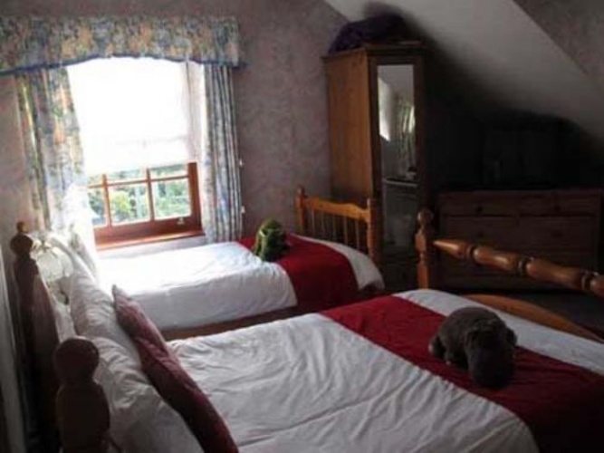 Standard Family room