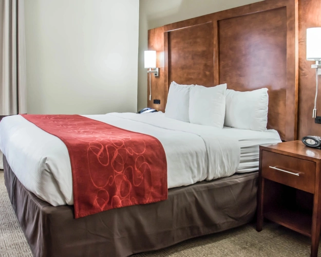 1 Bedroom Double Suite