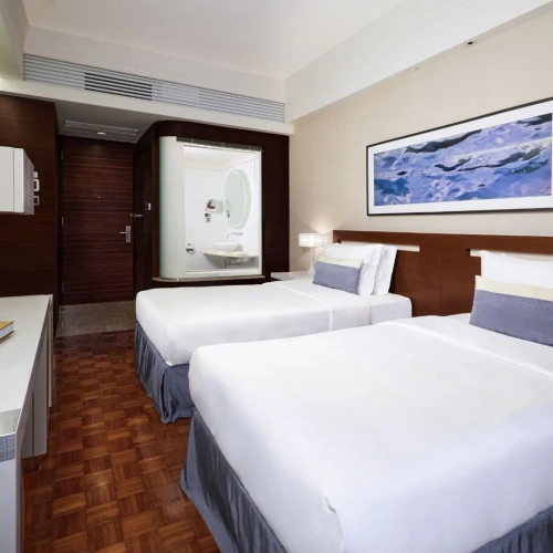 Double Suite with city view