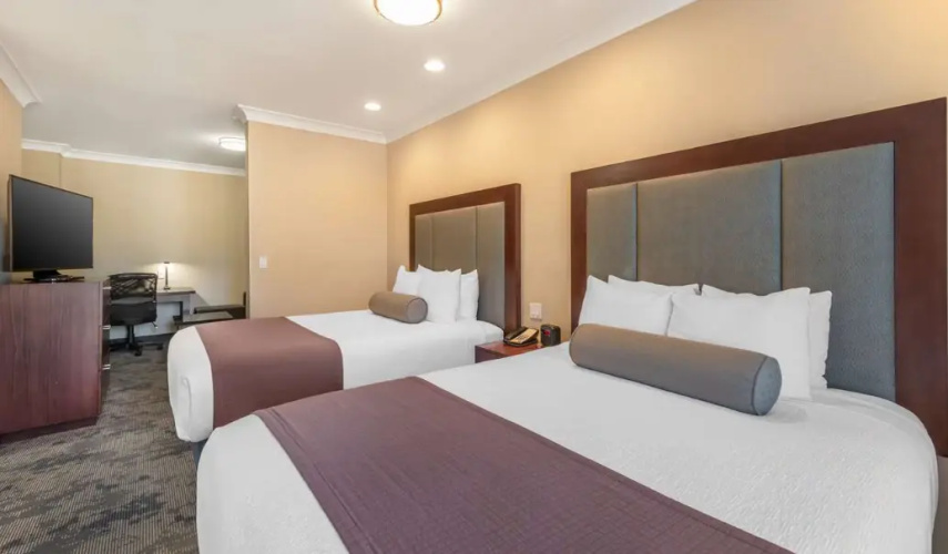 Quadruple Suite