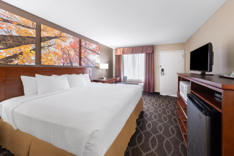 Accessible Double room