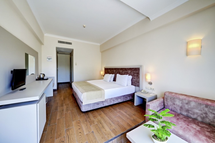 Standard Double Club room