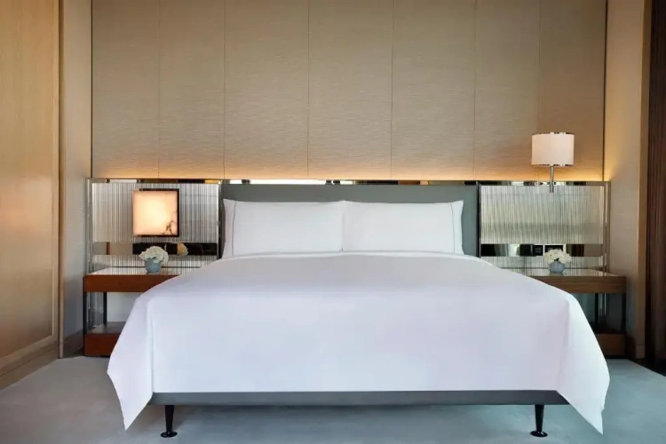 1 Bedroom Horizon Double Suite with city view