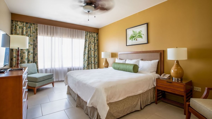 1 Bedroom Premium Condo Double Suite