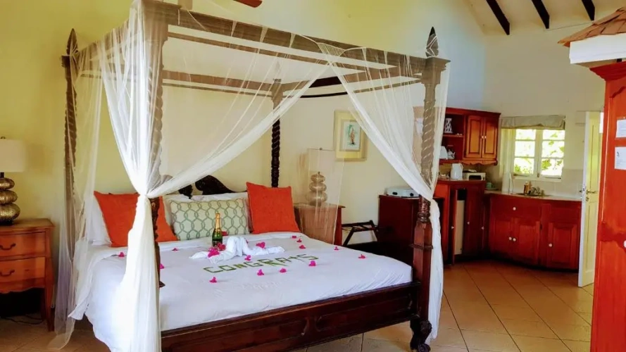 Premium Double room