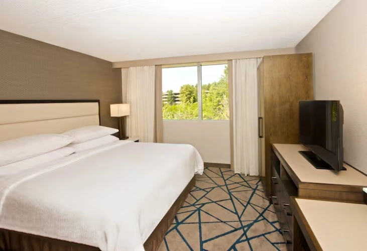 2 Room Double Suite