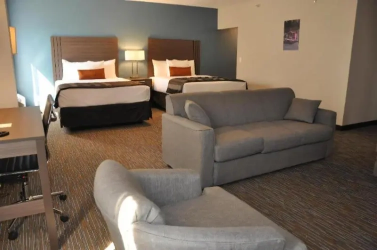 Suite
