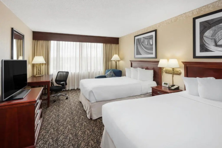 Pure Quadruple room