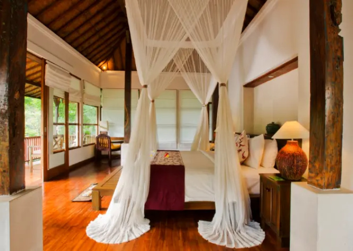 1 Bedroom Double Villa with Jungle view
