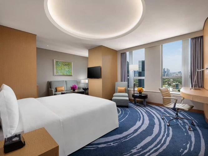 Premium Double room with city view