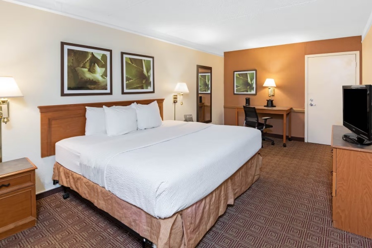 Accessible Double room
