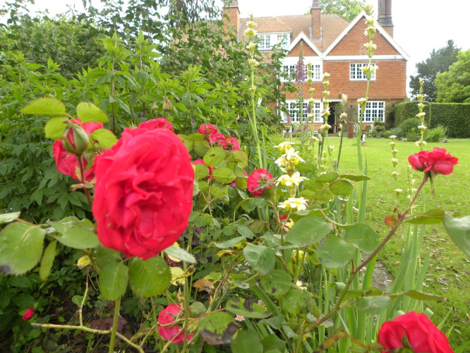 Orchards Retreat