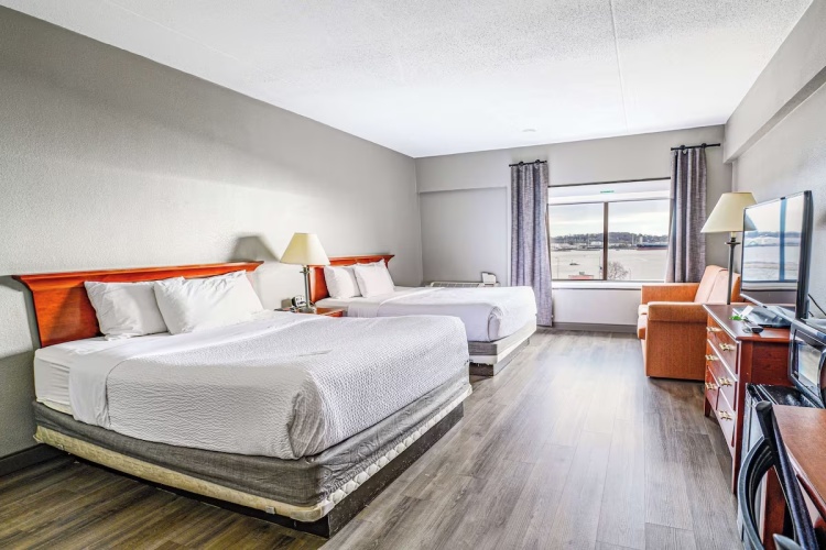 Deluxe Twin Suite