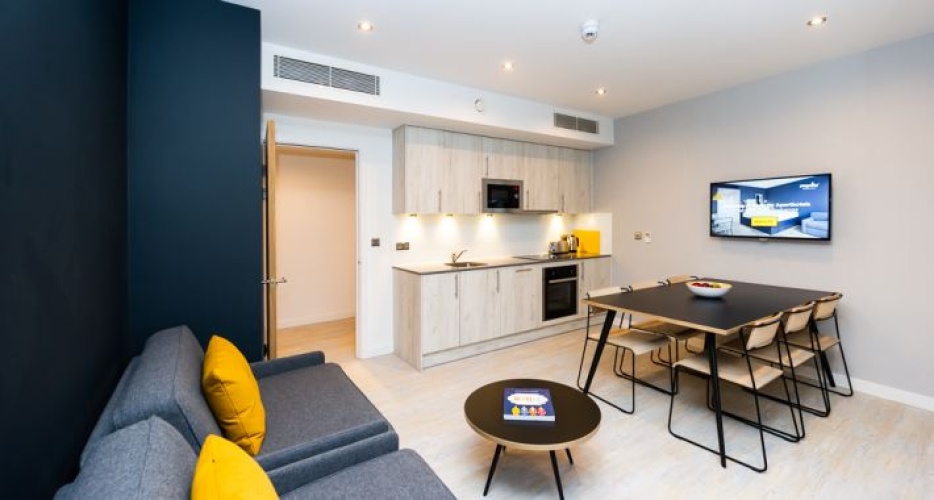 1 Bedroom Apartment