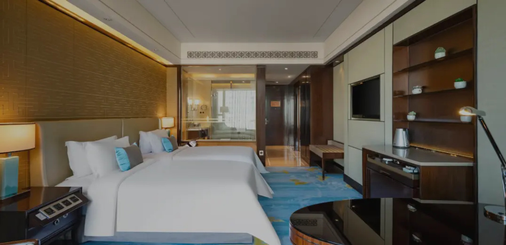 Deluxe Twin room with city view