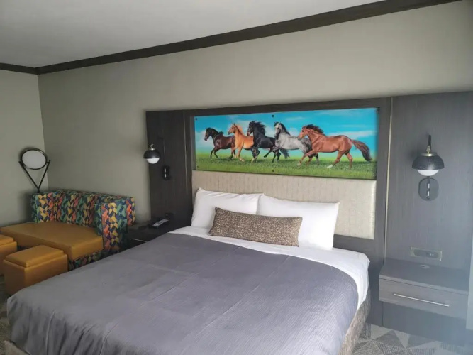 Big Country Hotel & Suites, SureStay Collection by BW