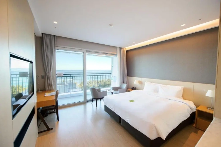 Gorgeous Double room with ocean view