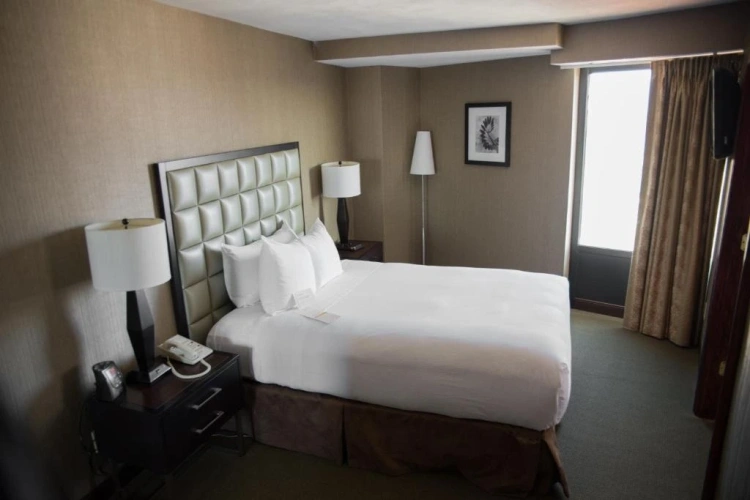 Large Double Suite