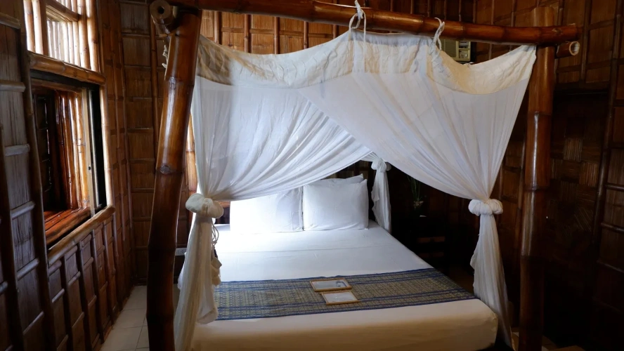 Standard Bamboo Suite