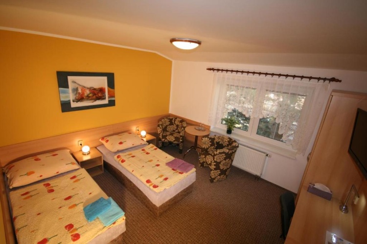 Standard Twin room with view