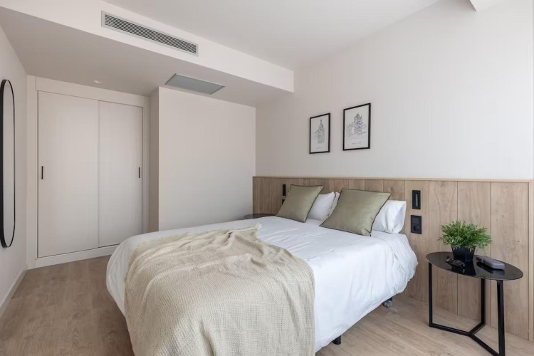 1 Bedroom Apartment