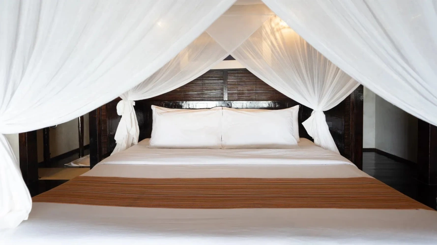 Designer Villa