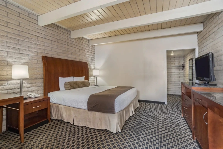 1 Bedroom Double Suite