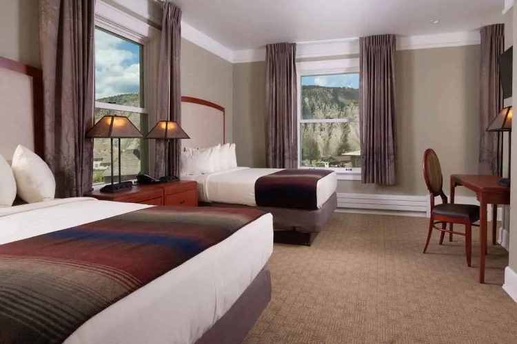 Twin Suite