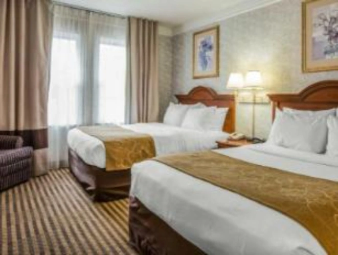 Quadruple Suite