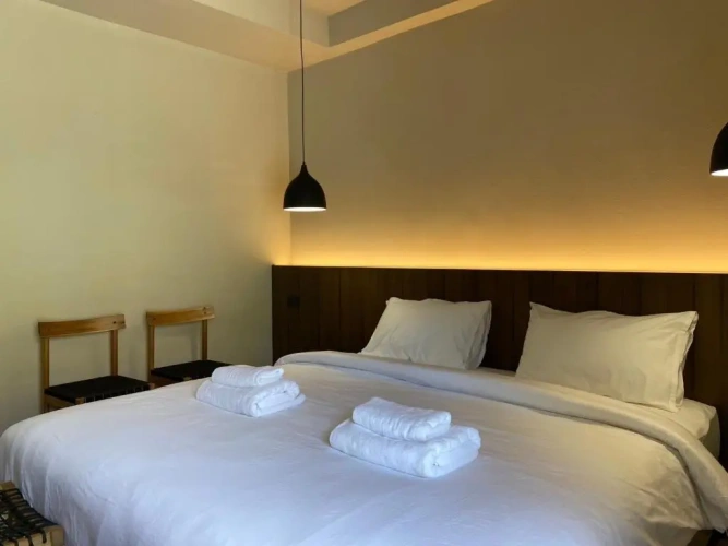 Deluxe Double room with garden view