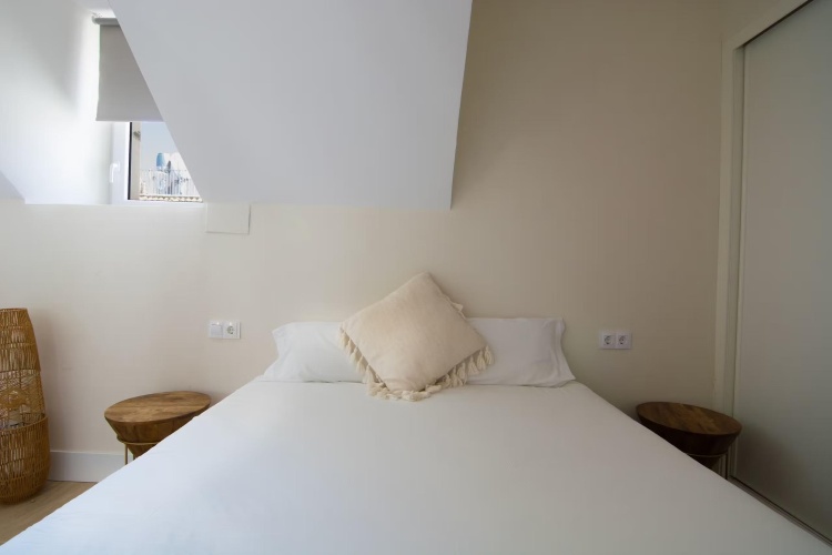 Roofed Mansard Apartment