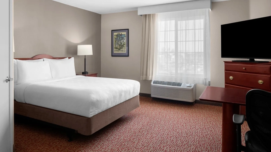 Double Studio Suite