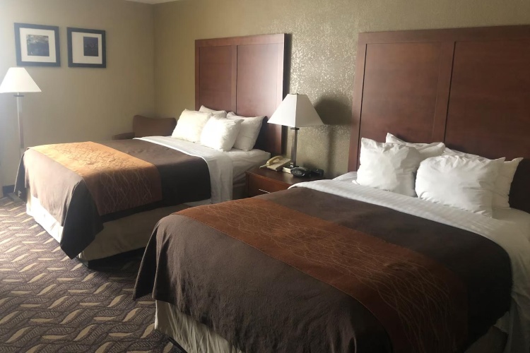 Twin Studio Suite