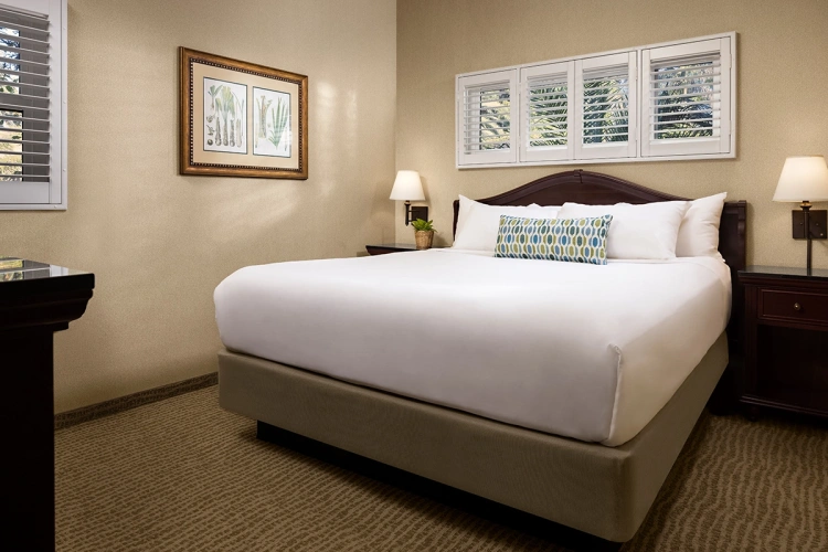 Double Deluxe Suite with bay view