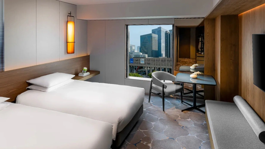 Deluxe Twin room with city view