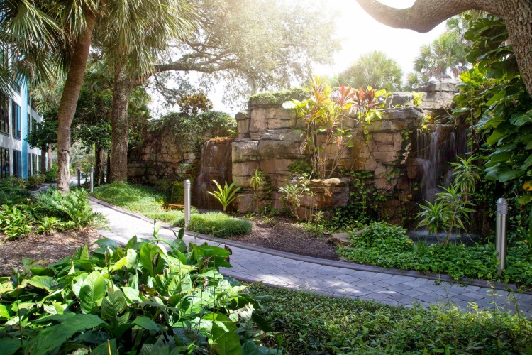 Delta Hotels By Marriott Orlando Celebration photo 23
