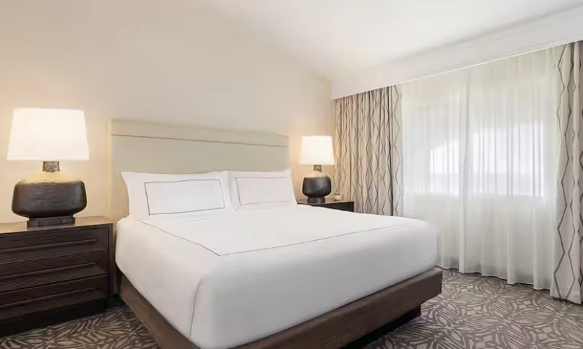 Accessible 1 King Bed Suite
