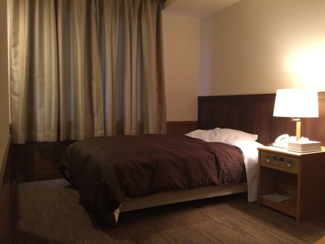 Western-Style Single room